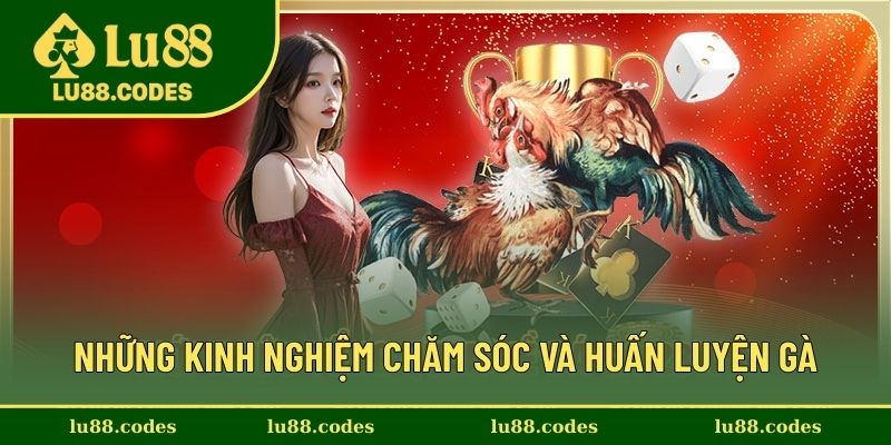 Những cách chăm sóc hiệu quả 